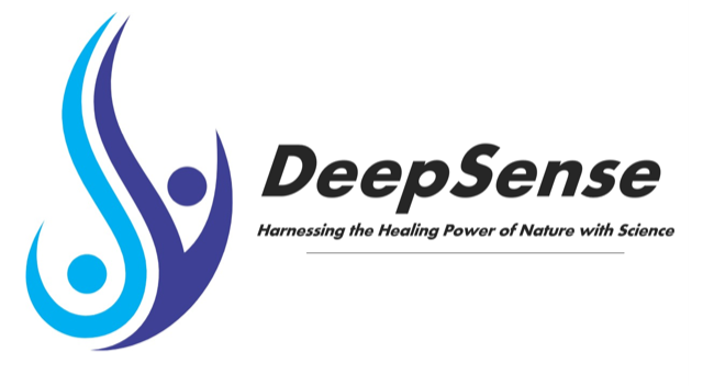 deepsense logo